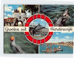 Postcard Groeten uit Harderwijk Netherlands