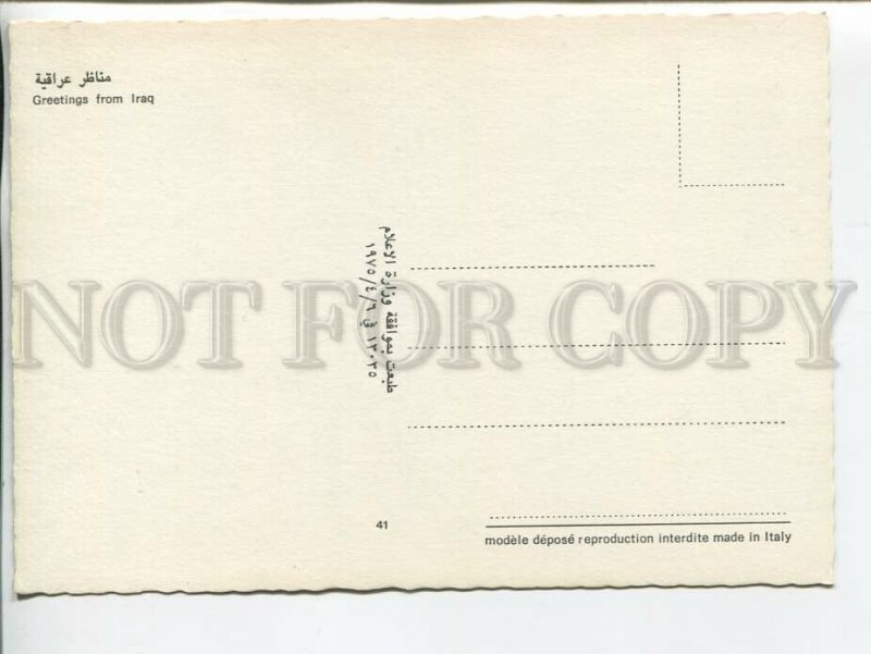 464345 Greetings from Iraq Old postcard