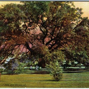 c1910s New Orleans, LA Monster Oak Tree Litho Photo Rotograph Postcard Vtg A61