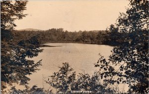 RPPC View of Gibson Pond, Townshend VT Vintage Postcard X47