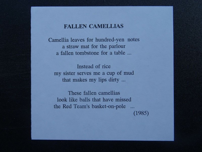 FALLEN CAMALLIAS Paintings Poems by Japanese Disabled Artist Tomihiro Hoshino PC