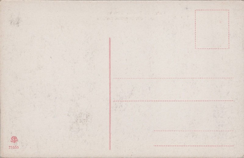 Italy Rome, Roma Teatro Nazionale Vintage Postcard C205