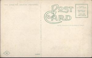 Poughkeepsie NY Vassar Walk From Chapel c1910 Postcard