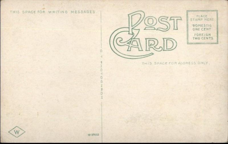 Poughkeepsie NY Vassar Walk From Chapel c1910 Postcard