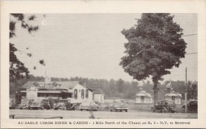 Au Sable Chasm & Cabins Adirondacks NY New York Unused Postcard G14