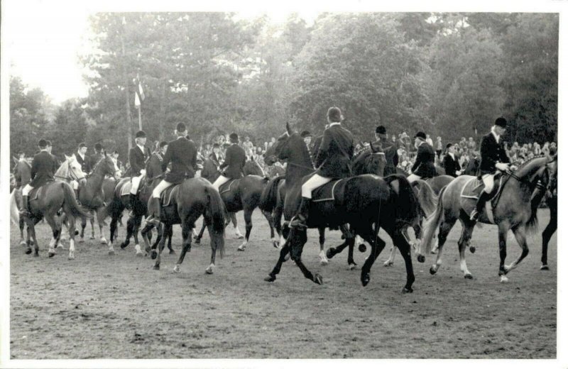 Horse Sports For a Magazine REAL PHOTO 03.02