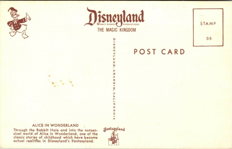 Disneyland Postcard Inside Alice In Wonderland Rabbit Hole Ride Fantasyland~2824