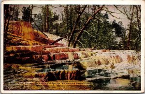 Angel Terrace Mammoth Hot Springs Yellowstone National Park Postcard PC77