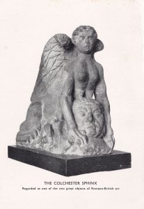 The Colchester Sphinx Roman Art Vintage Postcard