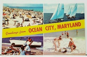 MD Greetings from OCEAN CITY MARYLAND Banner View Postcard I14