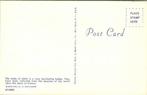 Postcard The Story of Sea Shells Poem Copyright 1956 Florida Unposted 1552