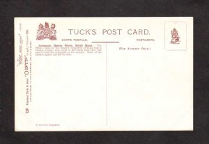 India Delhi Kutub Minar Hindoo Pillars Tuck & Sons Oilette Postcard