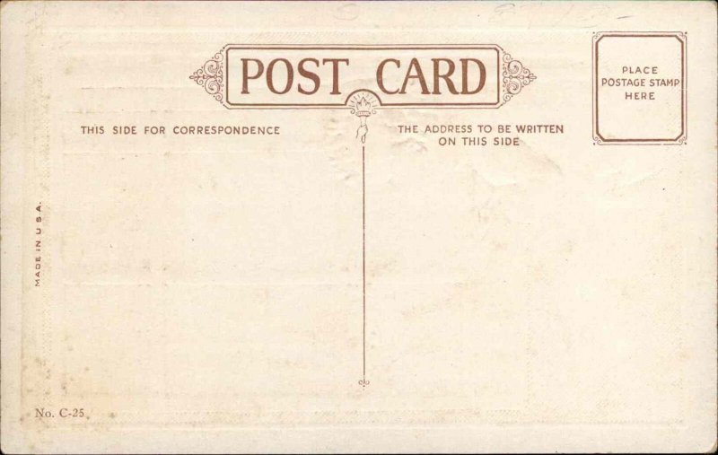 Christmas Children Santa Clause Window Embossed c1910s Postcard