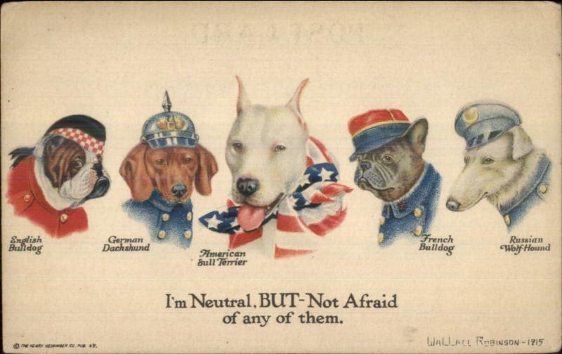 WWI Propaganda Country Dogs American Bull Terrier Dachshund Bulldog etc PC