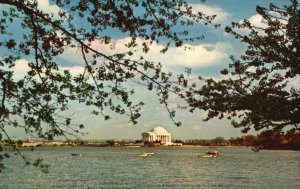 Postcard The Thomas Jefferson Memorial Building East Tidal Basin Washington DC