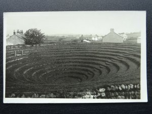 Cornwall Truro Redruth Busveal GWENNAP PIT - Old RP Postcard