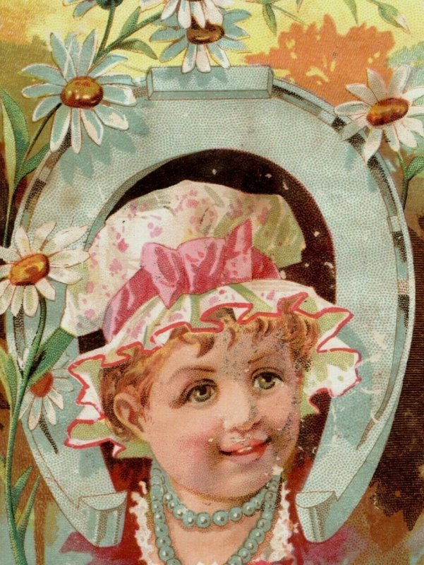 1880's Lovely Girl Bonnet Daisies Horseshoe Victorian Trade Card P102