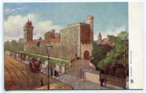 The Castle Cardiff Wales UK Tuck 1910c postcard