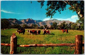 VINTAGE POSTCARD COWBOYS & COWS AT OREM UTAH - AUXILLARY POSTAL CANCEL NICE!