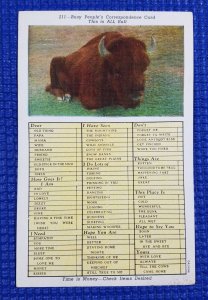 211 Vintage Busy People's Correspondence Card - This Is ALL Bull Postcard