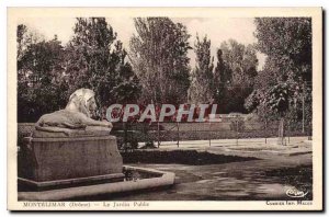 Old Postcard Montelimar Drome Public Garden Lion