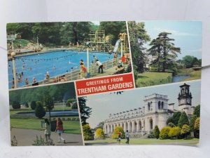 Swimming Pool Trentham Gardens Vintage Multiview Postcard