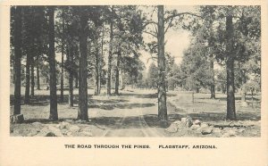 1920s Flagstaff Arizona The Road Through Pines Albertype Browns Postcard 26-216