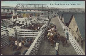 Stock Pens,South Side,Omaha,NE Postcard