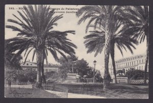 FRANCE, Vintage postcard, Nice, Palm Trees, New Gardens