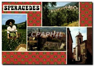 Postcard Modern Speracedes