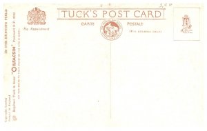 Dog , Across Country   ( Fox Hunt )