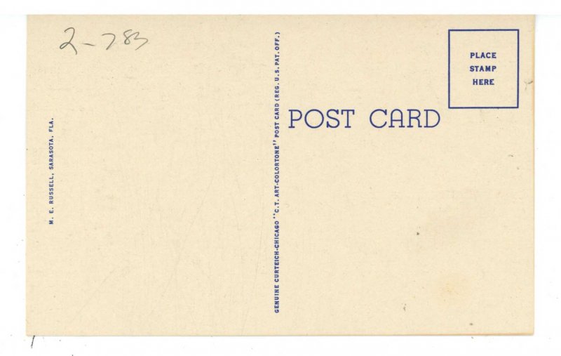 Birds - A Peacock in Sarasota, Florida