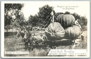 VAN BUREN AR UNCLE HOD'S PUMPKINS EXAGGERATED VINTAGE REAL PHOTO POSTCARD RPPC