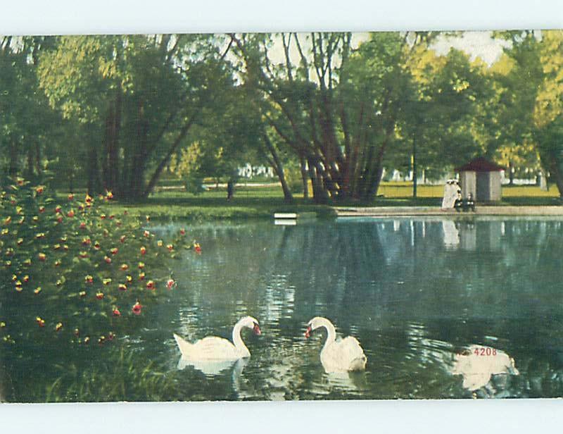 Divided-Back SWAN BIRDS AT SOLDIERS HOME Back Says Milwaukee Wisconsin WI HM5858