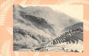 Rice Terrace, Luzon, Philippines, Dollar Steamship Lines Vintage Postcard