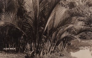 RP Nipa Palm, Singapore, 00-10s