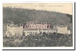 Hyeres Old Postcard Mount birds