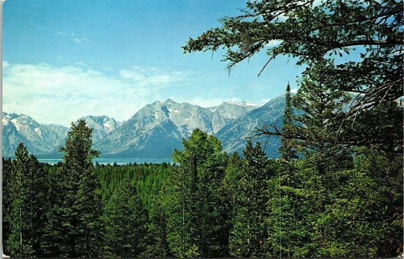 Grand Teton National Park Wyoming WY Postcard Plastichrome VTG UNP Vintage 