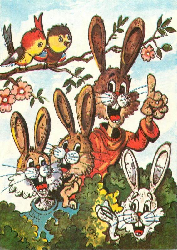 Rabbits caricatures birds Romania `70s postcard