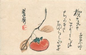 Postcard 1920s Japanese Art hand colored apple writing undivided TP24-3298