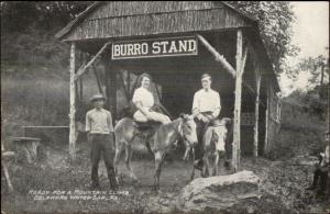 Burro Stand - Delaware Water Gap PA c1910 Postcard jrf