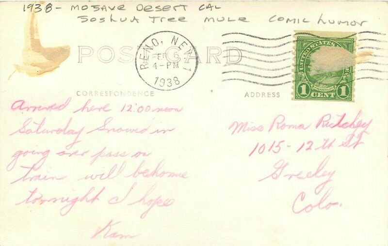 Comic Humor Joshua Tree Mule 1938 Mojave Desert California Photo Postcard 9329