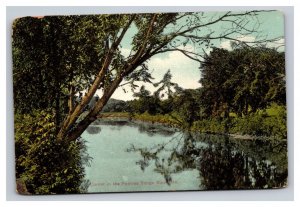 Vintage 1900s Postcard Corner in the Famous Songo River, Missouri