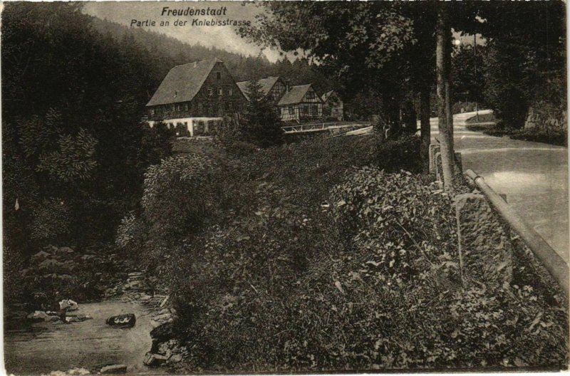 CPA AK Freudenstadt- Partie an der Kniebisstrasse GERMANY (907951)