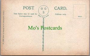 Australia Postcard - National Art Gallery, Sydney  SW11776