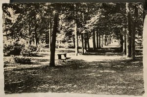 Netherlands Zeist Laantje zonder eind RPPC - unposted