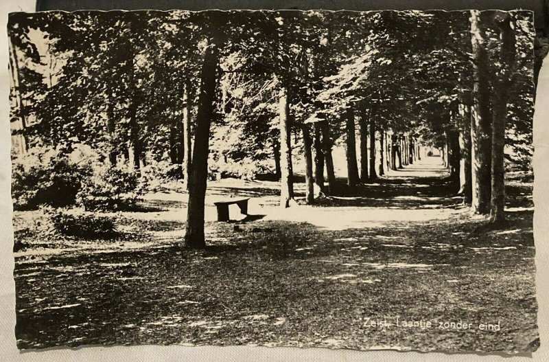 Netherlands Zeist Laantje zonder eind RPPC - unposted 