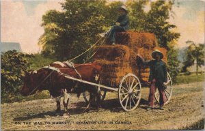 Canada On The Way To Market Country Life In Canada Vintage Postcard 09.47