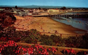 California Santa Cruz Cowell Beach 1961