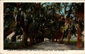 Mammoth Oaks,Audubon Park,New Orleans,LA BIN